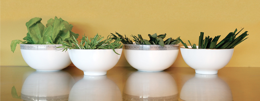 Professional Bone China Bowl for soups and salads