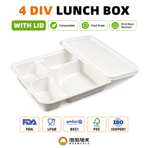 Sugarcane Bagasse Catering Tray with Lid