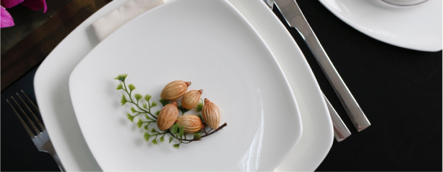 Modern Square Bone China Plate for modern presentation