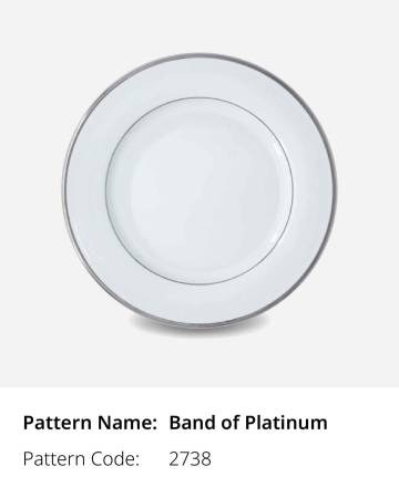 Band of Platinum Commercial Dinnerware