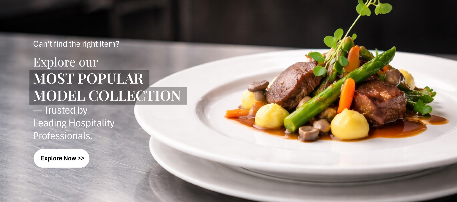 PATRA most popular porcelain tableware model plated for hotel service